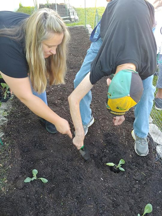 A woman helping a guy plant plants in a garden